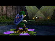 The Lost Woods