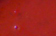 Tomato Soup