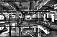 forgotten_complex