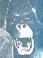 kong